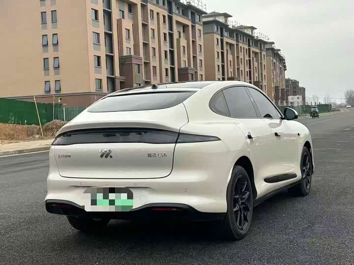 Фото 9 - IM motors LS6