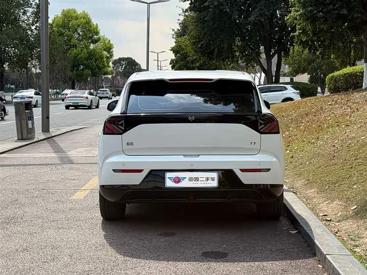 Фото 5 - BAIC Arcfox T1