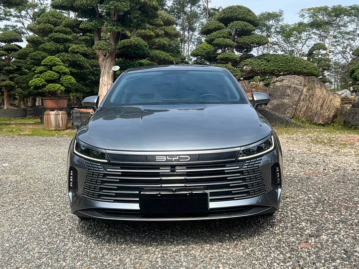 Photo 2 - BYD Destroyer 05