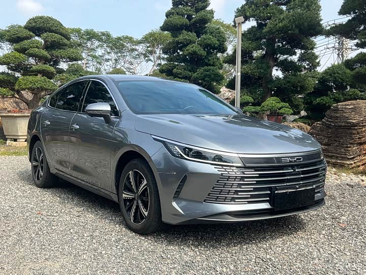 Photo 3 - BYD Destroyer 05