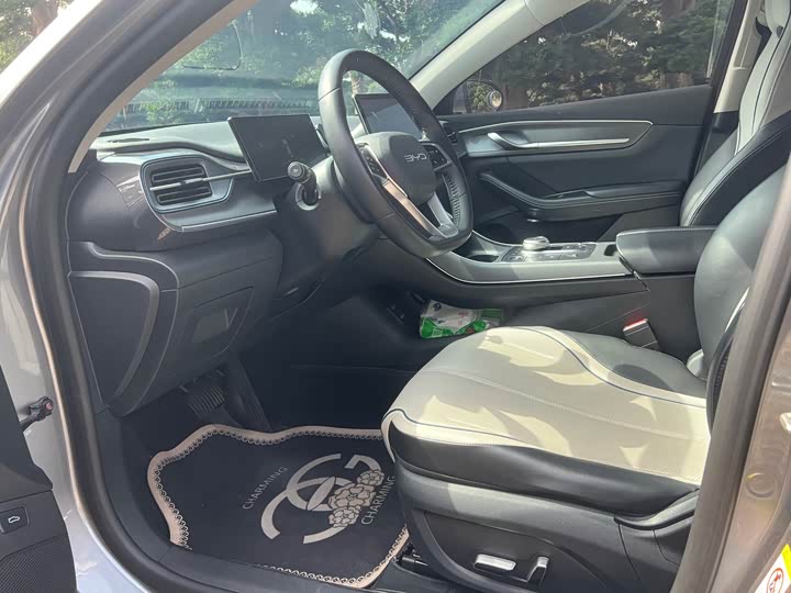 Photo 8 - BYD Destroyer 05