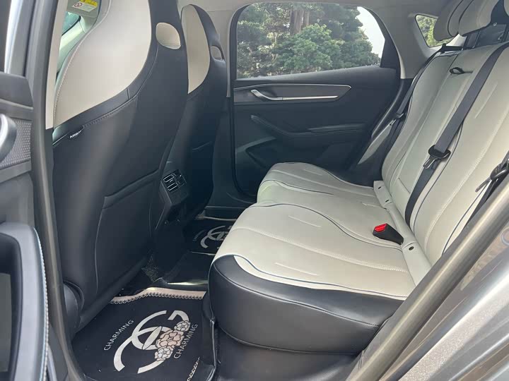 Photo 9 - BYD Destroyer 05