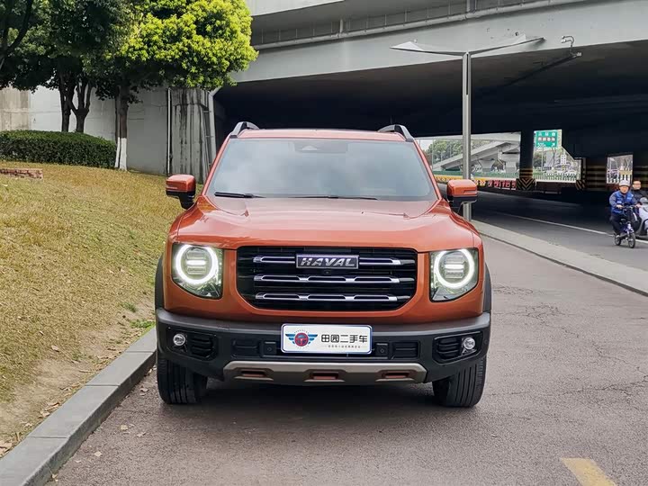 Фото 2 - Haval Dargo