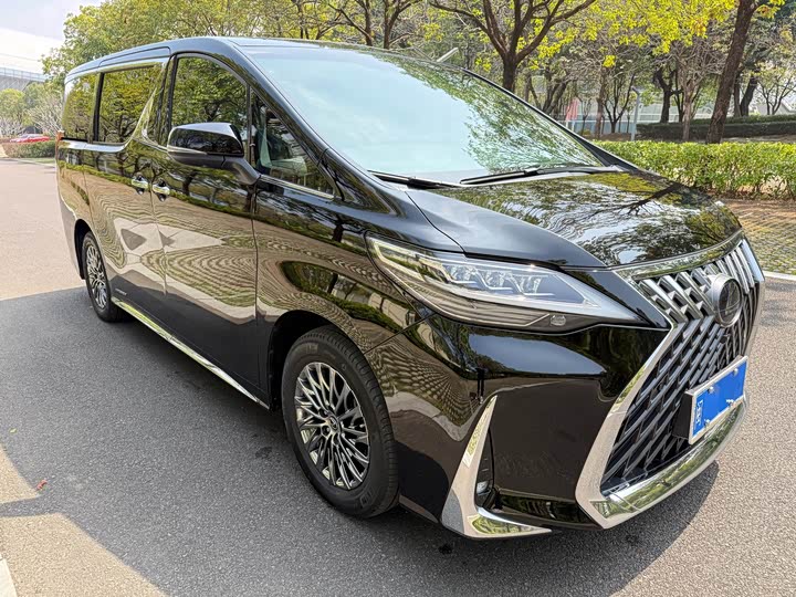 Фото 3 - Lexus LM