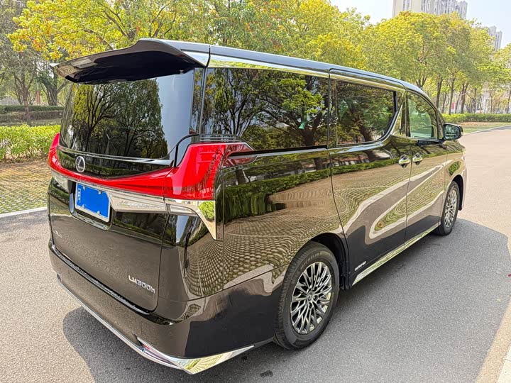 Фото 4 - Lexus LM