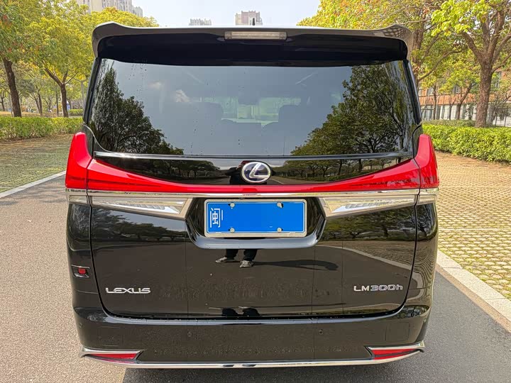 Фото 6 - Lexus LM