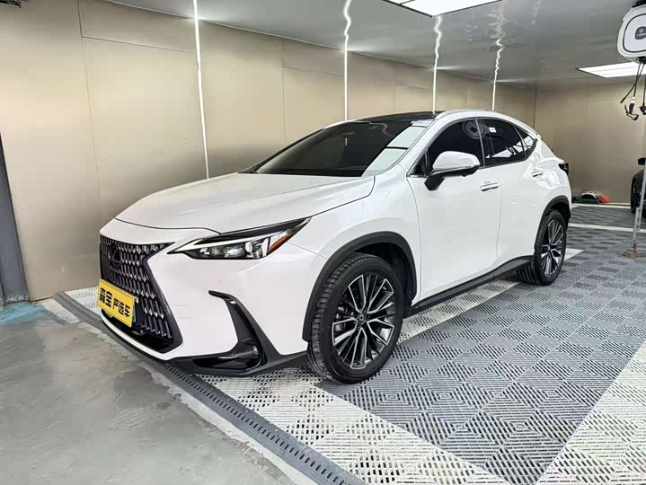 Фото 1 - Lexus NX