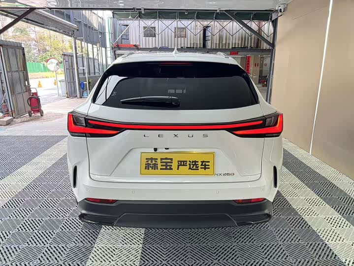 Фото 6 - Lexus NX