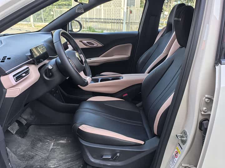 Фото 4 - BYD Seagull