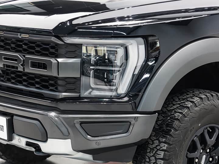 Фото 8 - Ford F-150 Raptor