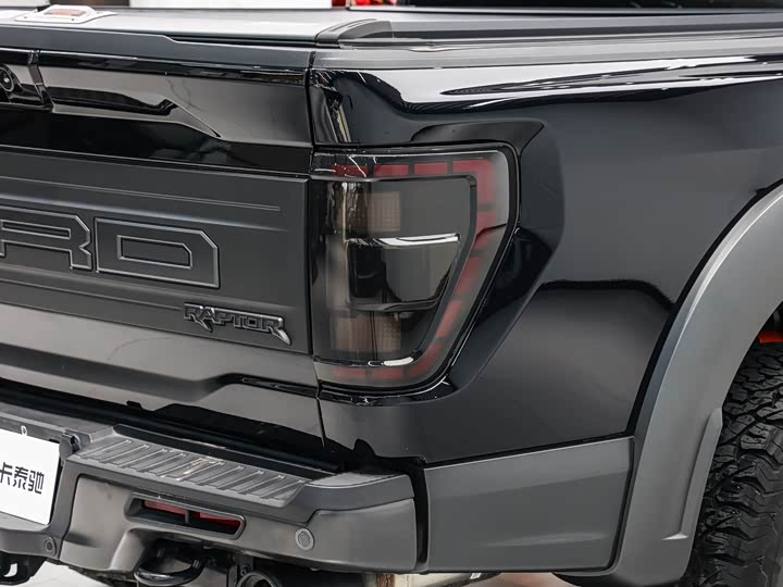 Фото 9 - Ford F-150 Raptor