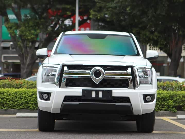 Фото 2 - Great Wall King Kong Poer