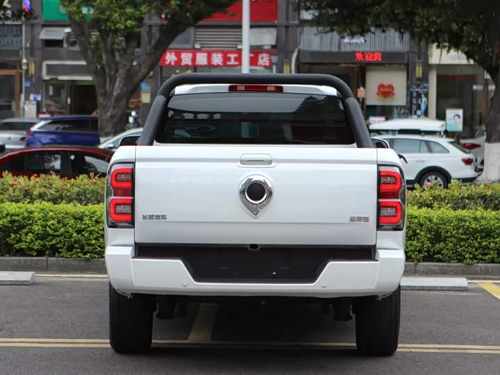 Фото 6 - Great Wall King Kong Poer