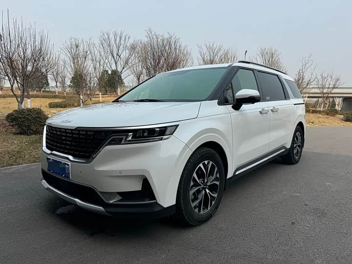 Фото 1 - Kia Carnival