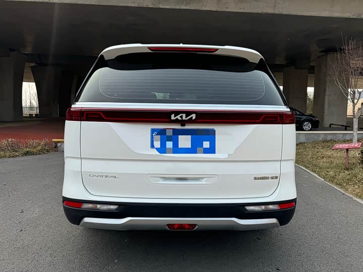 Фото 5 - Kia Carnival