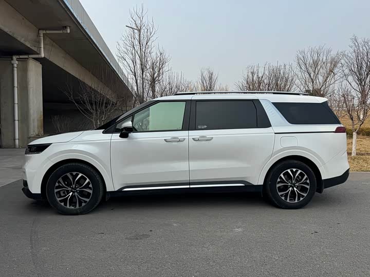 Фото 6 - Kia Carnival