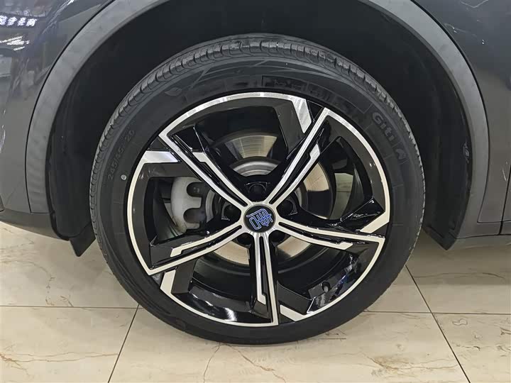 Фото 8 - BYD Tang Hybrid/EV