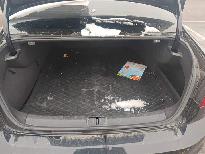 Фото 4 - Volkswagen Magotan GTE Hybrid