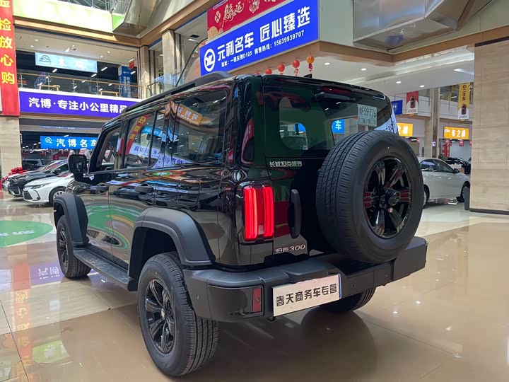 Фото 5 - Tank 300