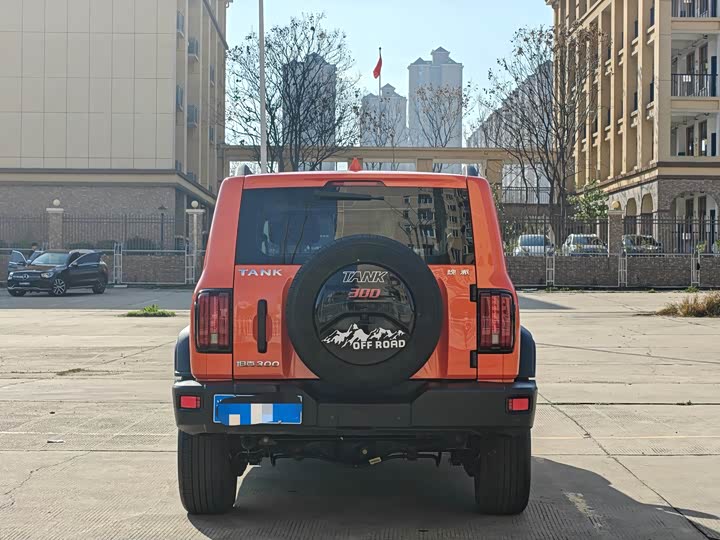 Фото 5 - Tank 300