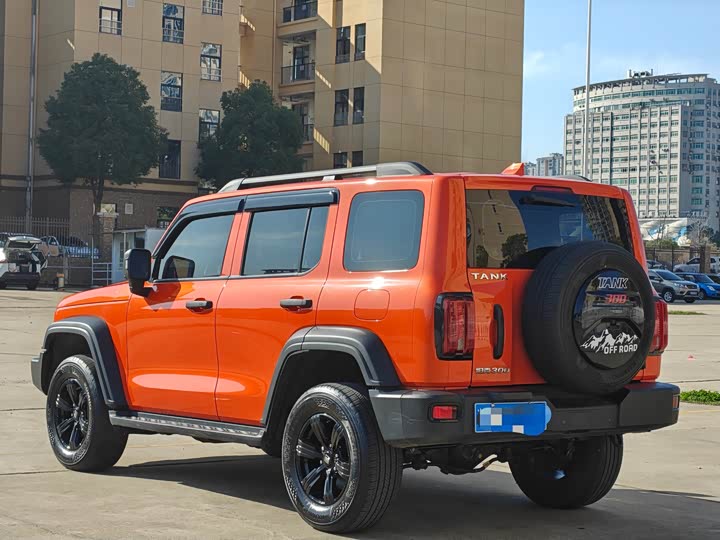 Фото 6 - Tank 300