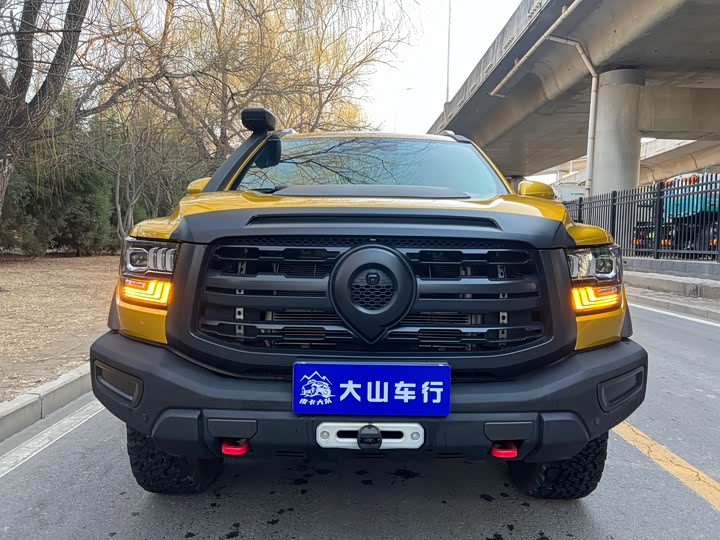 Фото 2 - Great Wall Shanhai Poer