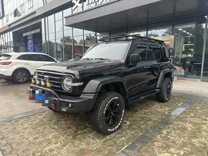 Фото 1 - Tank 300