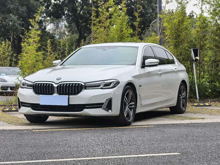 Фото 1 - BMW 5 Series Hybrid