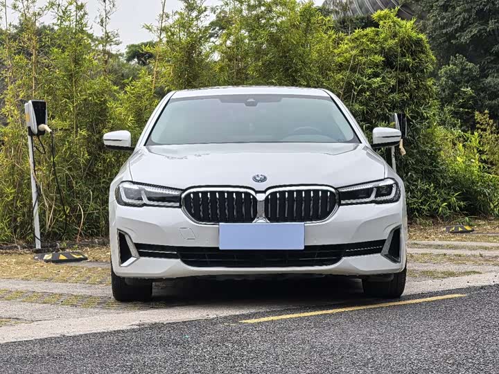 Фото 2 - BMW 5 Series Hybrid