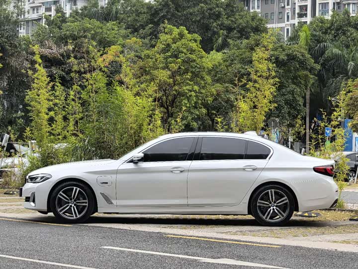 Фото 3 - BMW 5 Series Hybrid
