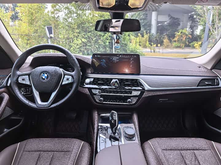 Фото 4 - BMW 5 Series Hybrid