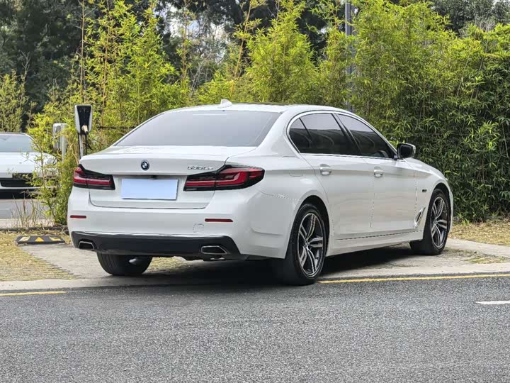 Фото 9 - BMW 5 Series Hybrid