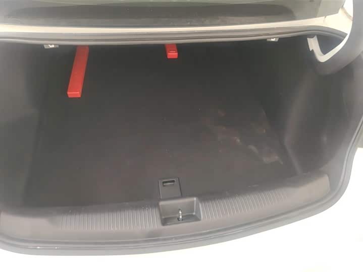 Фото 4 - Buick Regal