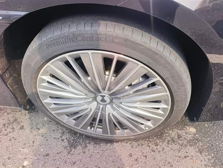 Фото 6 - Denza Z9