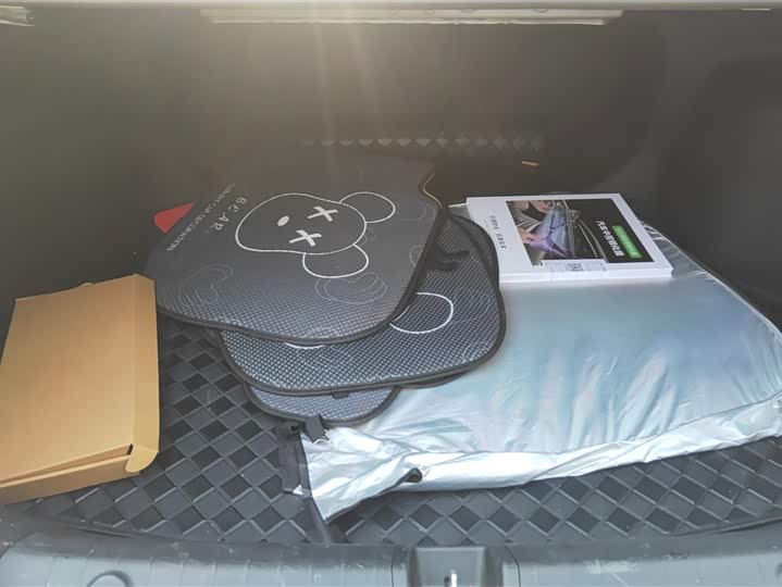 Фото 4 - Geely Binrui