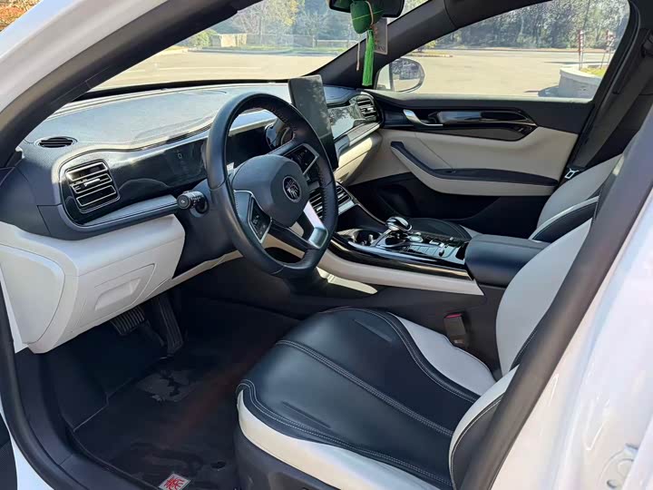 Фото 7 - BYD Qin Plus