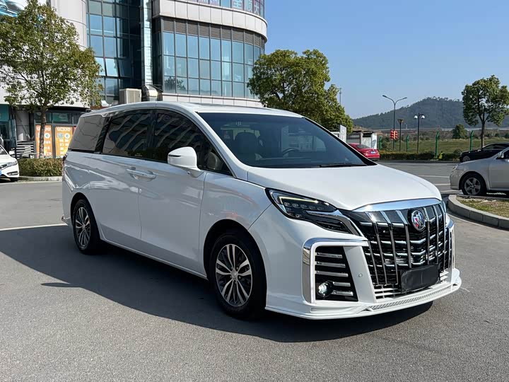 Фото 1 - Buick GL8 ES