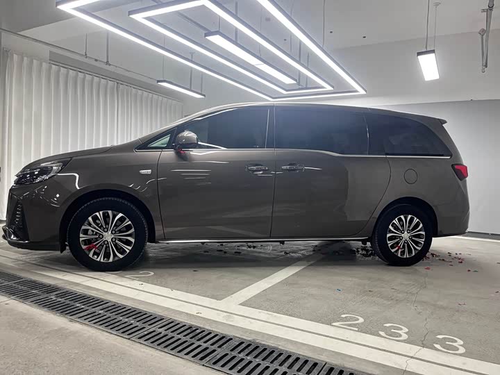 Фото 2 - Buick GL8 ES