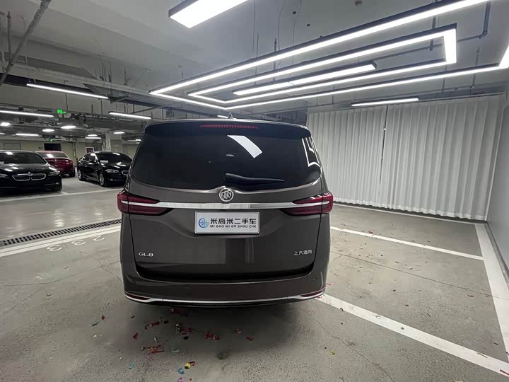 Фото 4 - Buick GL8 ES