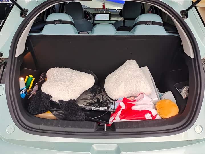 Фото 4 - Geely Geometry E Firefly