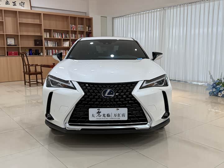Фото 2 - Lexus UX