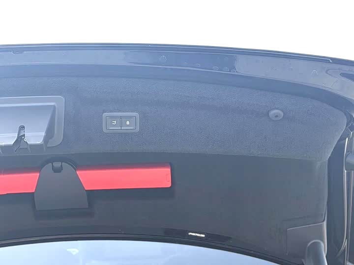 Фото 8 - Hongqi H9