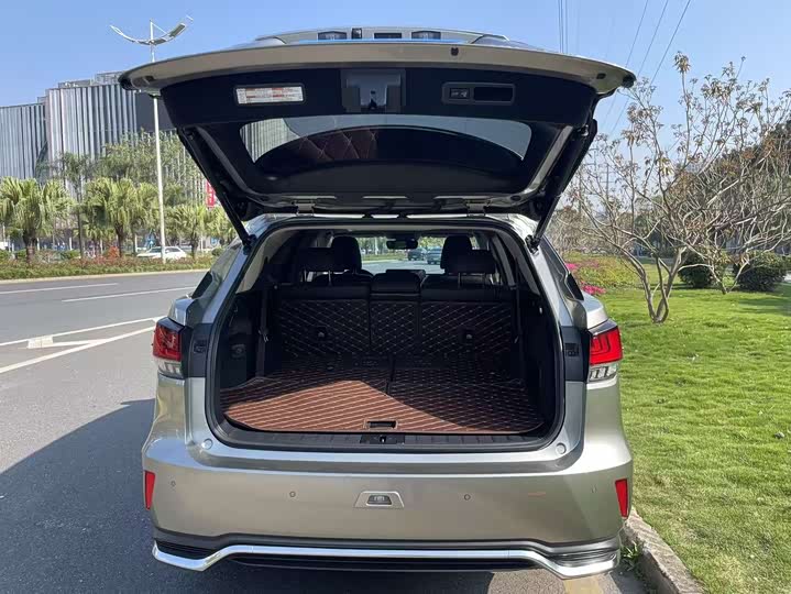 Фото 8 - Lexus RX