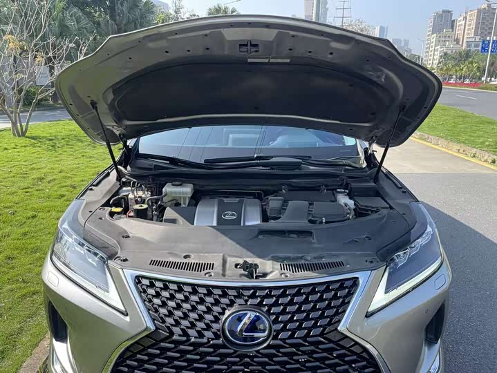 Фото 9 - Lexus RX