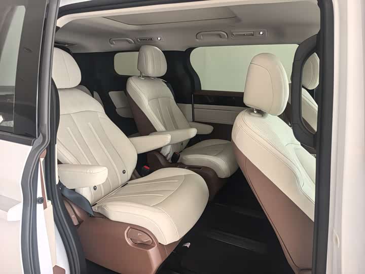 Фото 6 - BYD Xia