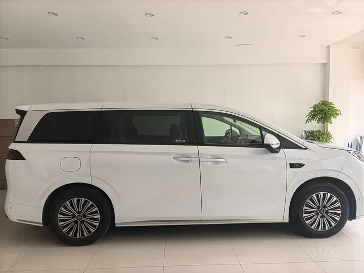 Фото 8 - BYD Xia