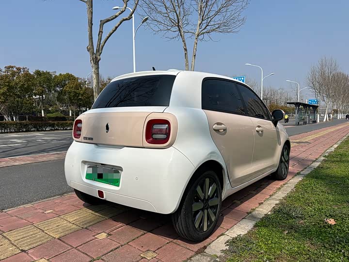 Photo 4 - Ora Black Cat