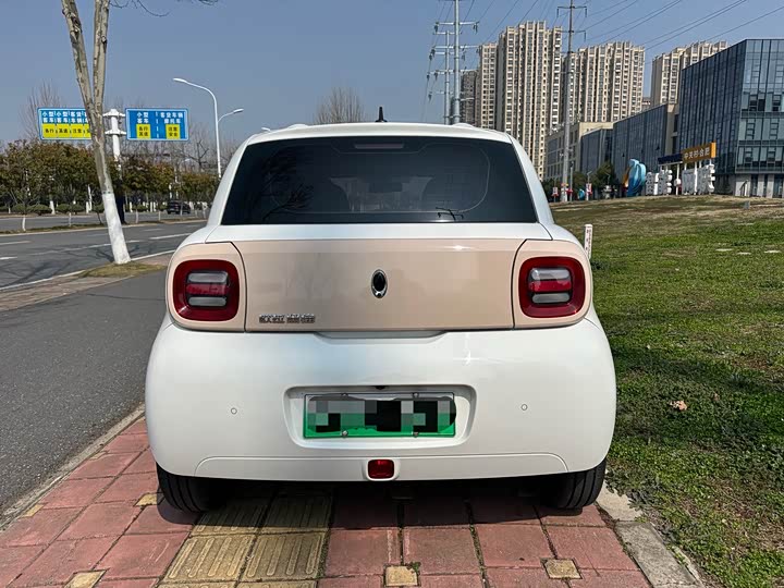 Photo 5 - Ora Black Cat