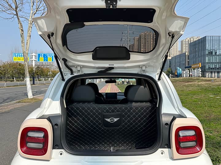 Photo 6 - Ora Black Cat