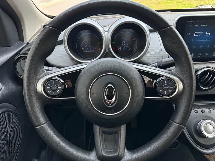 Photo 9 - Ora Black Cat